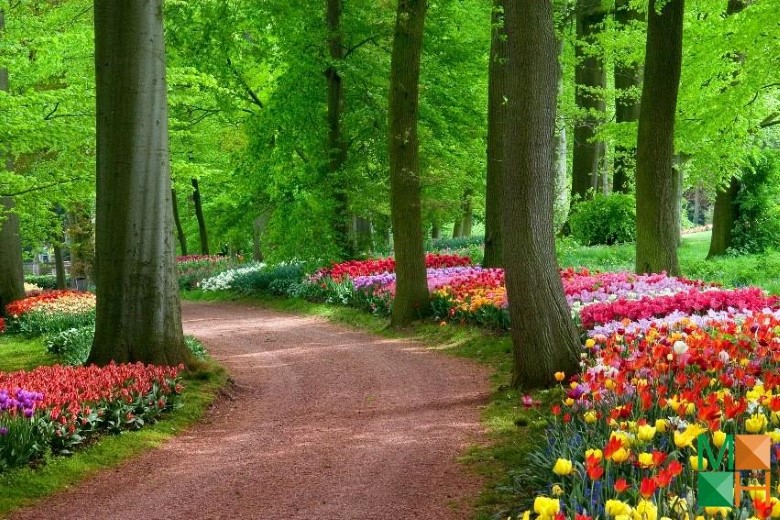 Tranh dán tường cho phòng khách đẹp tại Hà Nội NA - 221